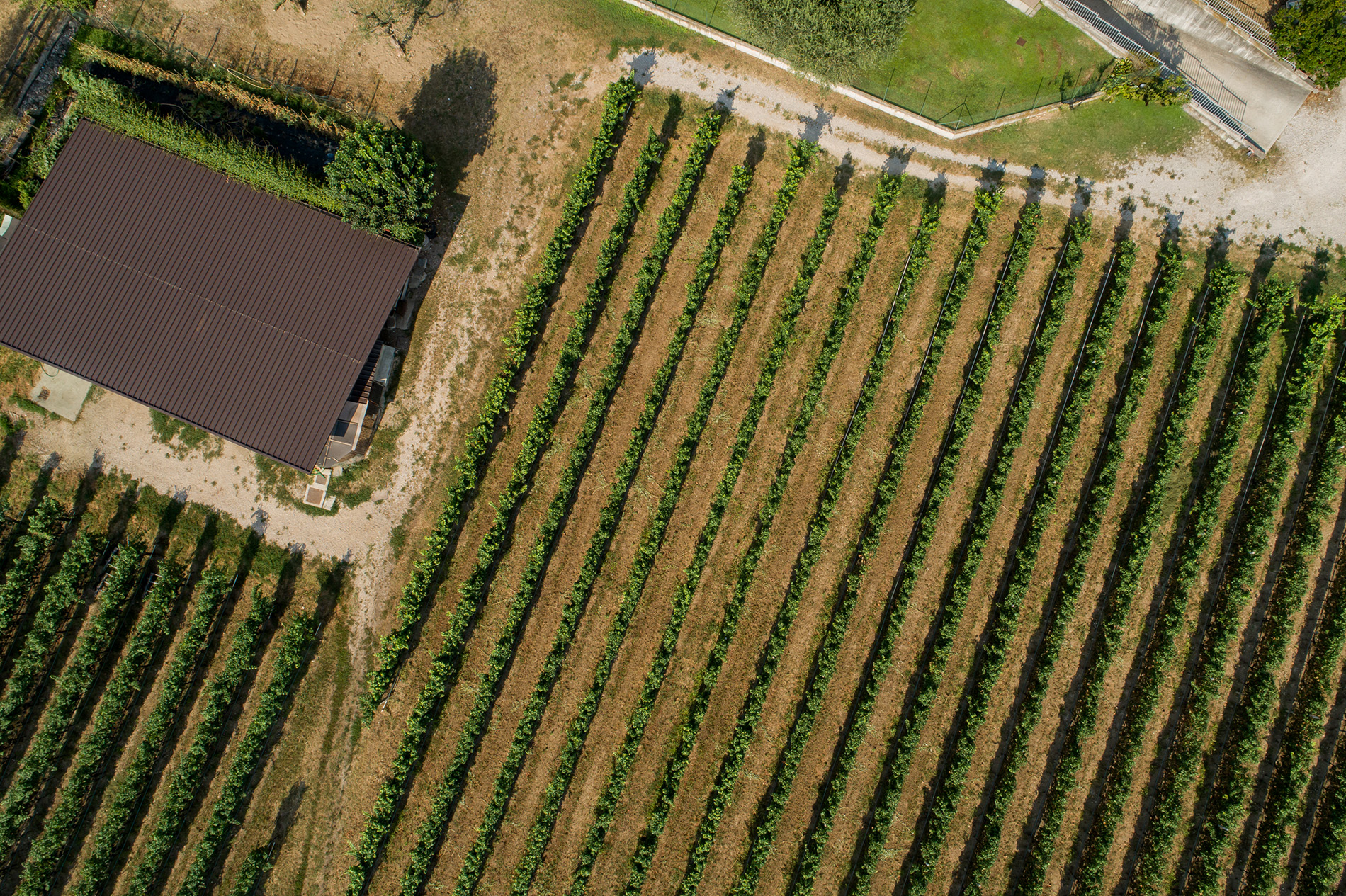 Azienda Agricola Comai